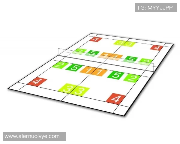 成都羽毛球队挑战赛精彩点评技术表现与战术分析全解析